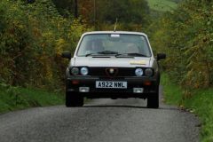 2025_Autumn_Leaves_-240