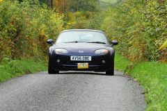 2025_Autumn_Leaves_-246