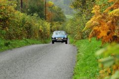 2025_Autumn_Leaves_-251