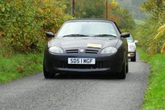 2025_Autumn_Leaves_-256