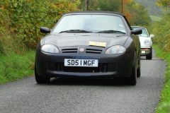 2025_Autumn_Leaves_-258