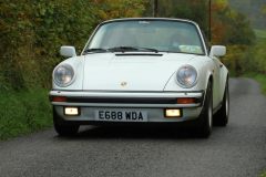 2025_Autumn_Leaves_-260