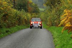 2025_Autumn_Leaves_-265