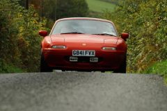 2025_Autumn_Leaves_-269