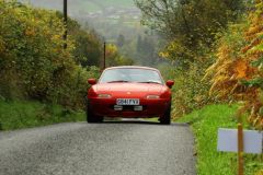 2025_Autumn_Leaves_-270