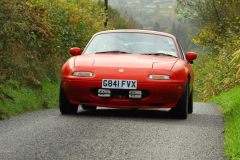 2025_Autumn_Leaves_-271