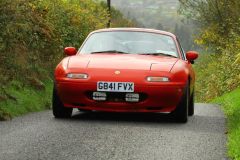 2025_Autumn_Leaves_-272