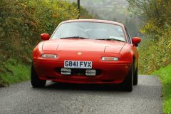 2025_Autumn_Leaves_-273