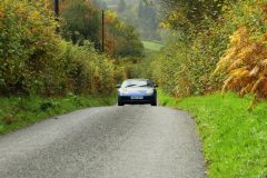 2025_Autumn_Leaves_-274