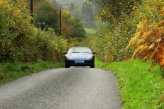 2025_Autumn_Leaves_-275