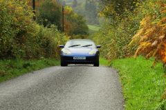 2025_Autumn_Leaves_-276