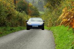 2025_Autumn_Leaves_-277