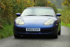 2025_Autumn_Leaves_-279