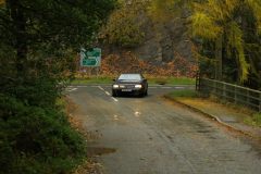 2025_Autumn_Leaves_-286