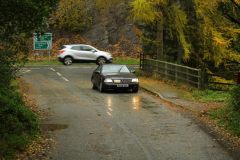 2025_Autumn_Leaves_-287