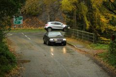 2025_Autumn_Leaves_-288