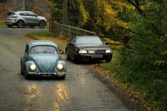 2025_Autumn_Leaves_-290