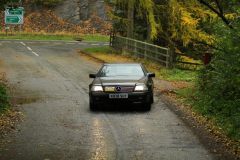 2025_Autumn_Leaves_-292