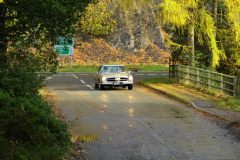 2025_Autumn_Leaves_-298