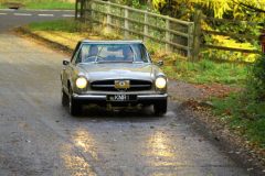 2025_Autumn_Leaves_-301