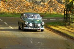 2025_Autumn_Leaves_-302