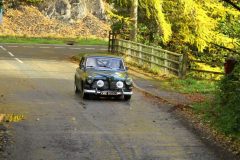 2025_Autumn_Leaves_-303