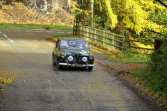 2025_Autumn_Leaves_-304