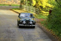 2025_Autumn_Leaves_-305