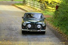 2025_Autumn_Leaves_-306