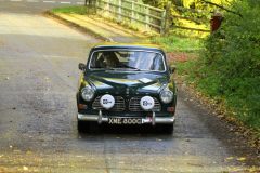 2025_Autumn_Leaves_-307