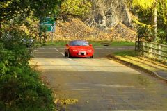 2025_Autumn_Leaves_-308