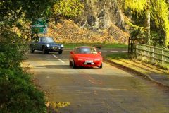 2025_Autumn_Leaves_-309