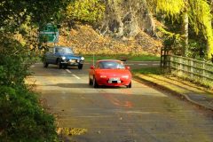 2025_Autumn_Leaves_-310