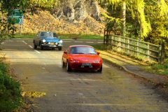 2025_Autumn_Leaves_-311