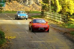 2025_Autumn_Leaves_-312