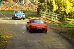 2025_Autumn_Leaves_-313