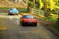 2025_Autumn_Leaves_-314