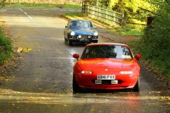 2025_Autumn_Leaves_-316