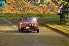 2025_Autumn_Leaves_-320