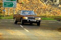 2025_Autumn_Leaves_-325