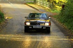 2025_Autumn_Leaves_-328