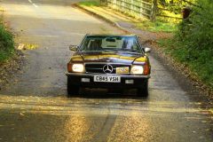 2025_Autumn_Leaves_-329