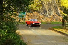 2025_Autumn_Leaves_-331