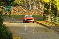 2025_Autumn_Leaves_-332