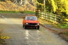 2025_Autumn_Leaves_-334