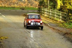 2025_Autumn_Leaves_-340