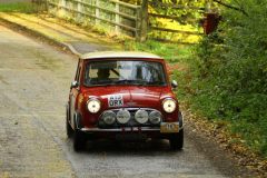 2025_Autumn_Leaves_-341