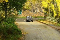 2025_Autumn_Leaves_-343