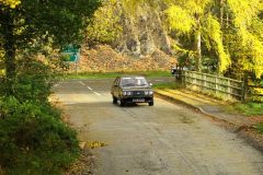 2025_Autumn_Leaves_-344