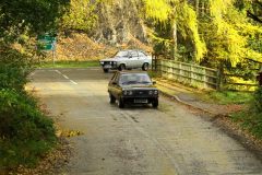 2025_Autumn_Leaves_-345